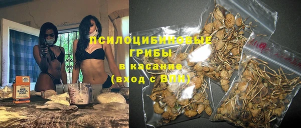 эйфоретик Осинники