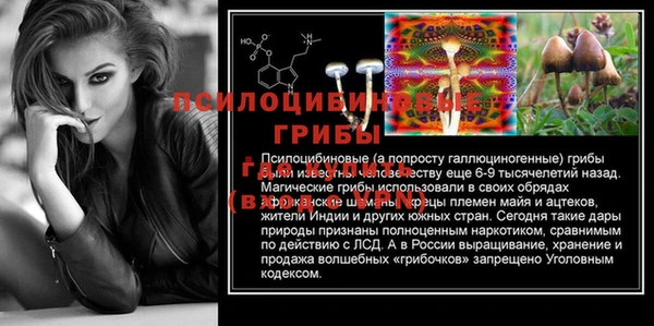 прущий лед Армянск