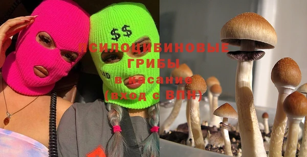 a pvp Арсеньев