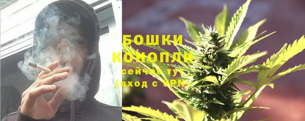 СК Аркадак