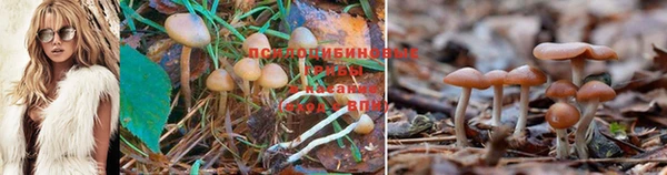 экстази Осташков